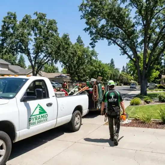 Greenline Tree Service truck arriving at a La Jolla residential job