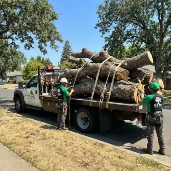 Tree service truck loaded with branches after a La Jolla job